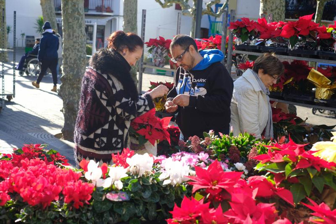 Talos, txistorra y sidra se han adueñado del Hondarribia en el Día de Santo Tomás