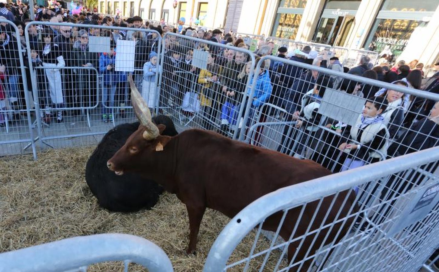 Arranca Santo Tomás y Donostia está lista para recibir a la gente.