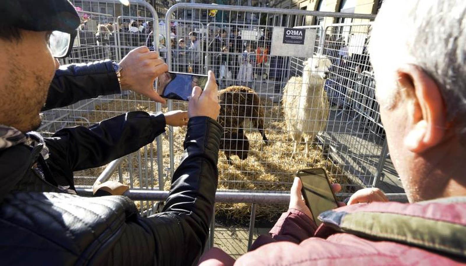 La feria de Santo Tomás de Donostia, un éxito