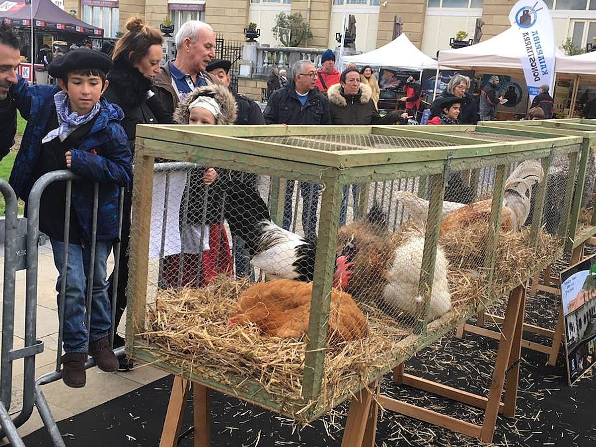 Arranca Santo Tomás y Donostia está lista para recibir a la gente.