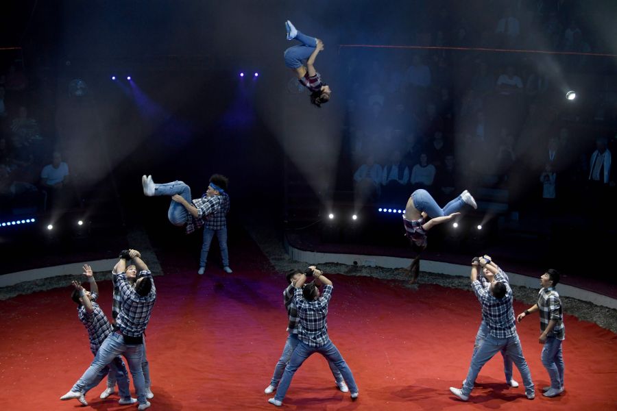 165 artistas de 20 países del mundo participan durante cuatro días en el XII Festival Internacional de Circo de Budapest