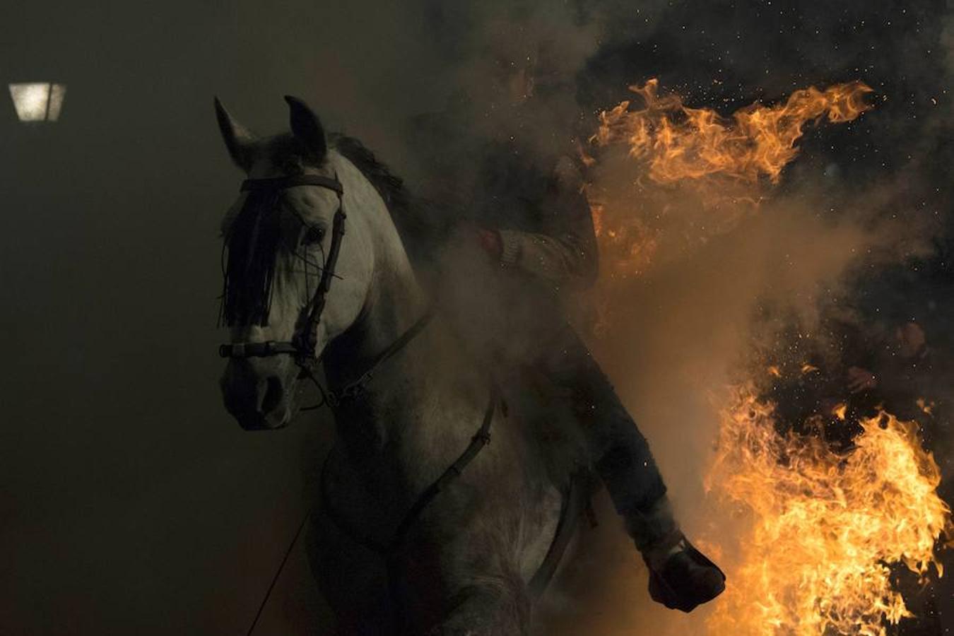 Varios jinetes salta sobre una hoguera en el pueblo de San Bartolomé de Pinares en la provincia de Ávila durante la inauguración de la tradicional fiesta religiosa 'Luminarias' en honor a San Antonio Abad.