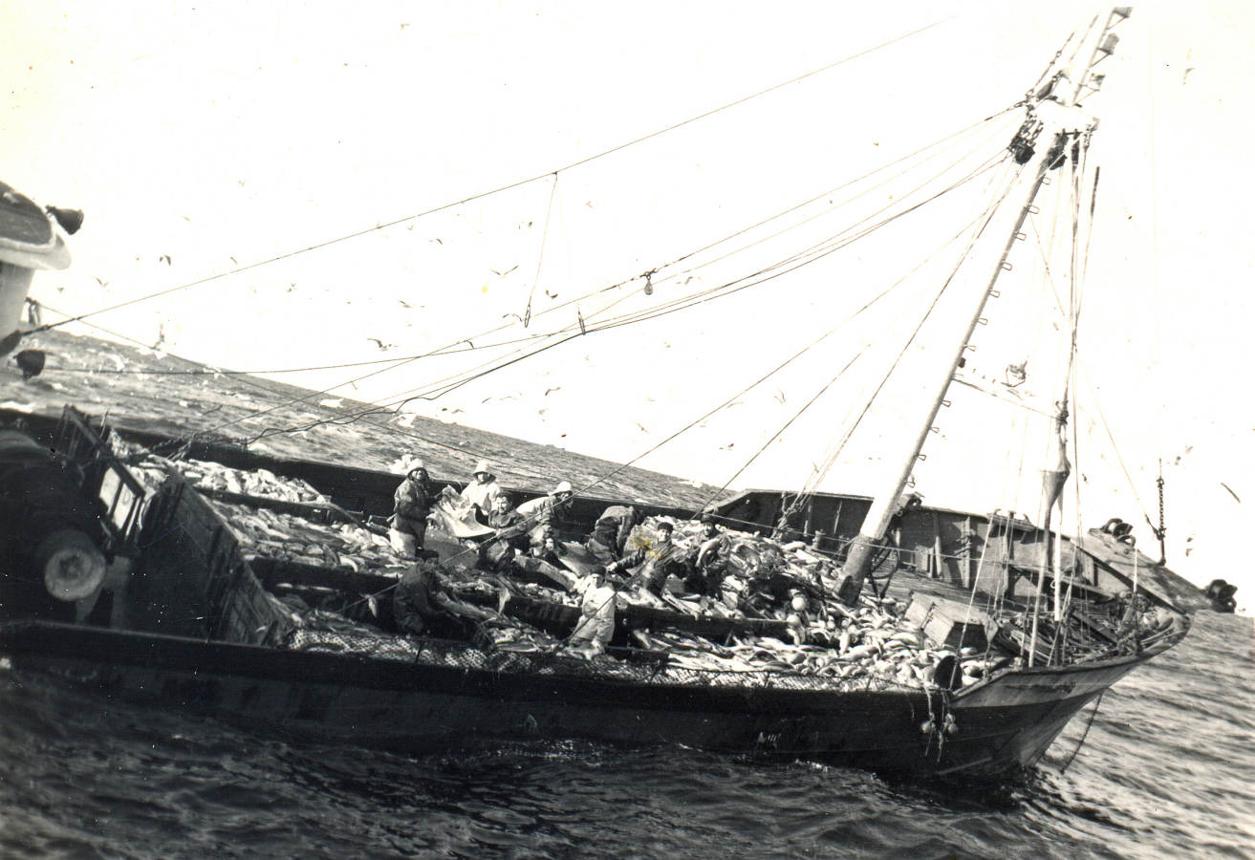 Algunos patrones y pescadores disponian de cámaras en Super 8, a veces compradas en la misma Canadá, con las que recogían detalles de su trabajo. 