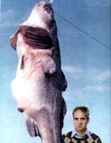 Imagen secundaria 2 -  Instantáneas tomadas por el patrón en sus viajes a Terranova. 