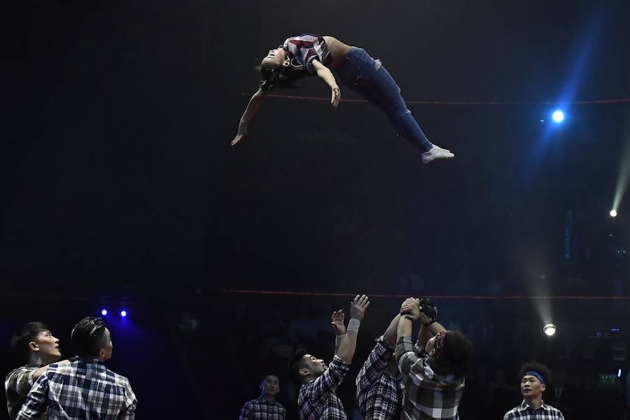 La capital de Hungría acoge cada año el Festival Internacional del Circo de Budapest. Una cita a la que acuden 165 artistas de más de 20 países que, durante cuatro días, hacen volar nuestra imaginación con acrobacias y desafíos que parecen imposibles de superar