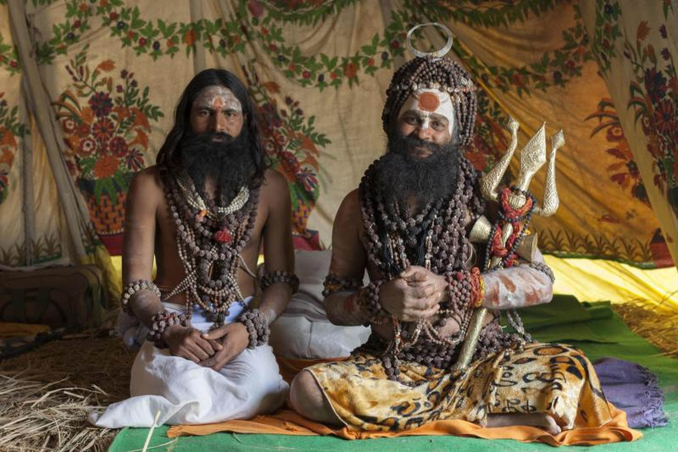 Millones de devotos hindúes se reúnen en el norte de la India para el Magh Mela, uno de los mayores festivales religiosos del mundo que implica baños rituales en las aguas sagradas del río Ganges.