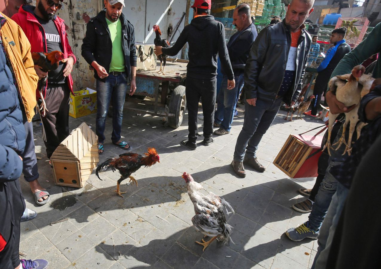 Mercado de animales en Bagdad