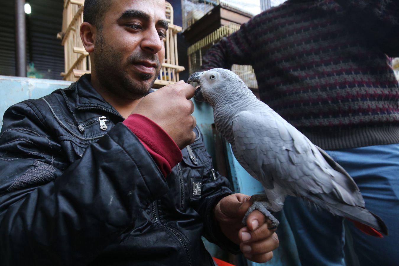 Mercado de animales en Bagdad