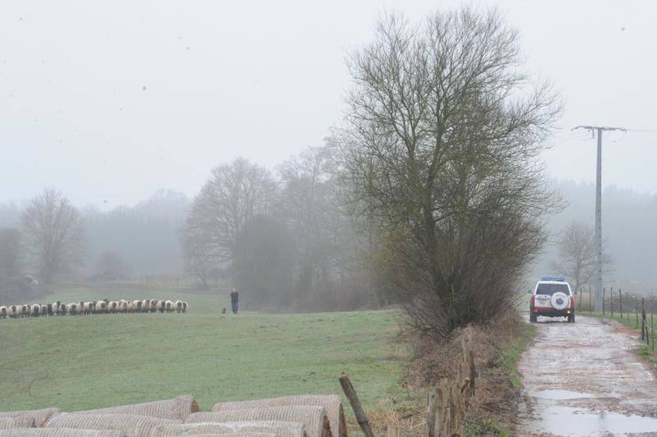 Un grupo de voluntarios formado por amigos y familiares de Jon Bárcena, el joven desaparecido en el Gorbea el pasado 30 de diciembre, ha hallado el cuerpo del montañero vizcaíno en el entorno del pantano de Urrunaga, en el término municipal de Legutio (Álava).