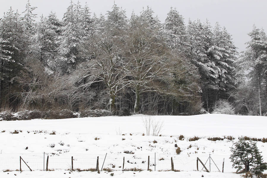 La nieve ha cubierto los montes de las zonas de Etzegarate y Deskarga, dejando bellas estampas invernales y problemas en la circulación.