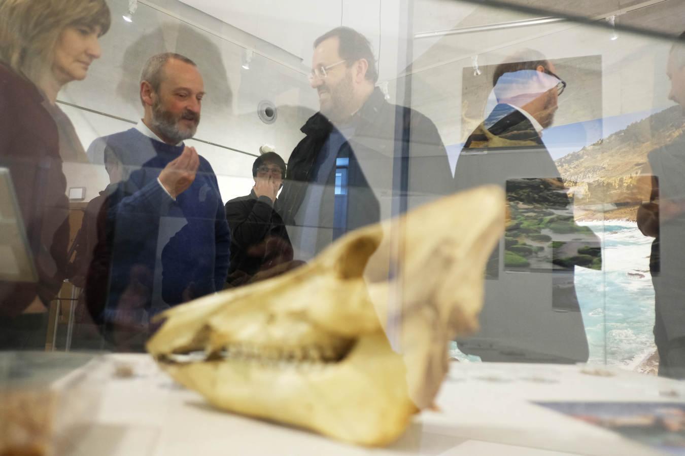 La Sociedad de Ciencias Aranzadi muestra en Hondarribia los hallazgos aparecidos en el monte Jaizkibel, de 8.000 años de antiguedad.