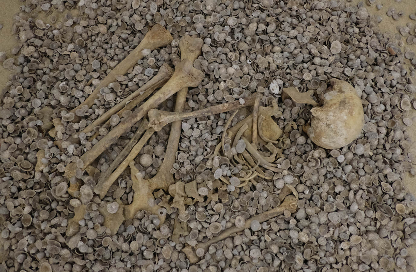 La Sociedad de Ciencias Aranzadi muestra en Hondarribia los hallazgos aparecidos en el monte Jaizkibel, de 8.000 años de antiguedad.