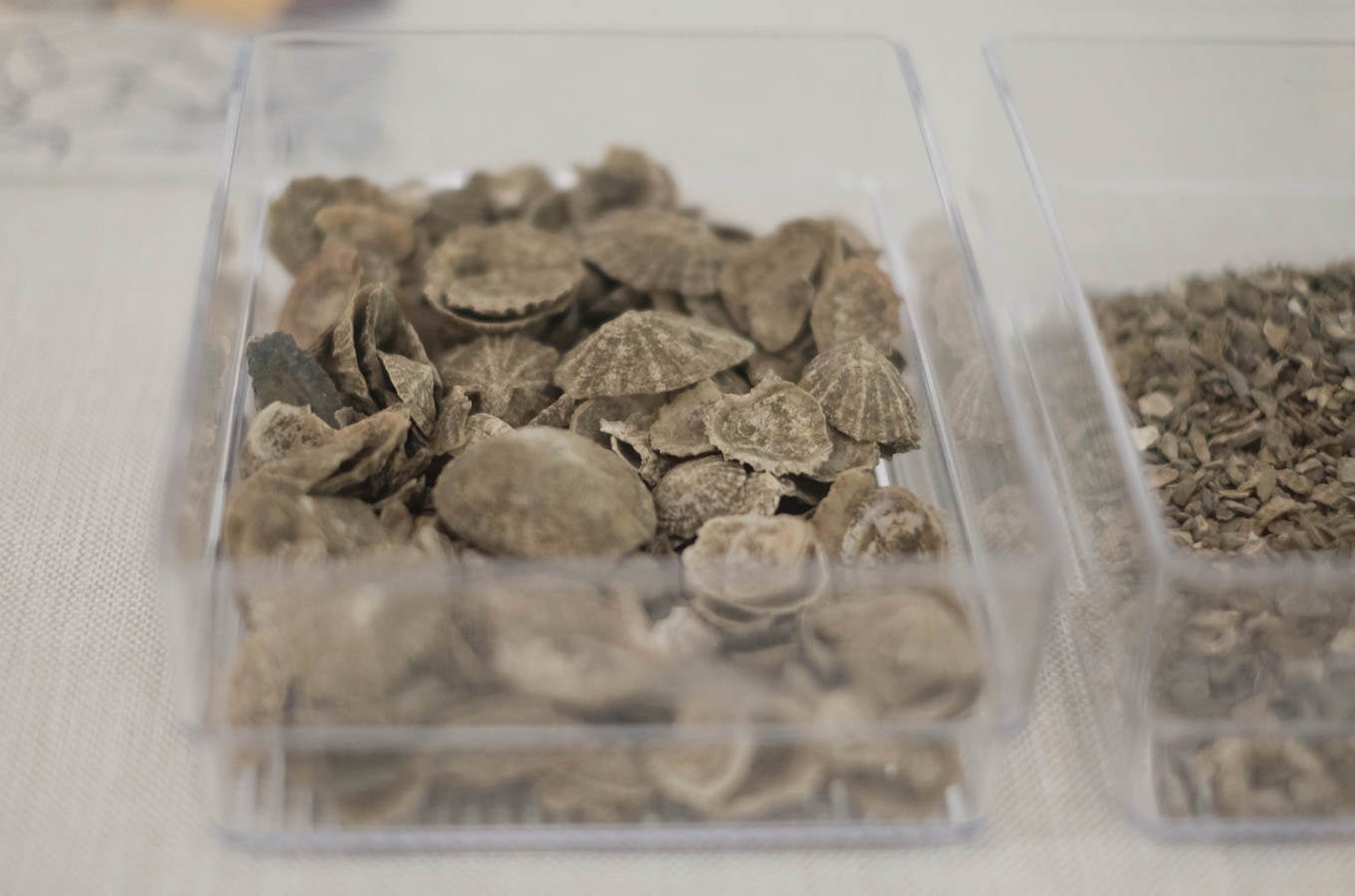 La Sociedad de Ciencias Aranzadi muestra en Hondarribia los hallazgos aparecidos en el monte Jaizkibel, de 8.000 años de antiguedad.