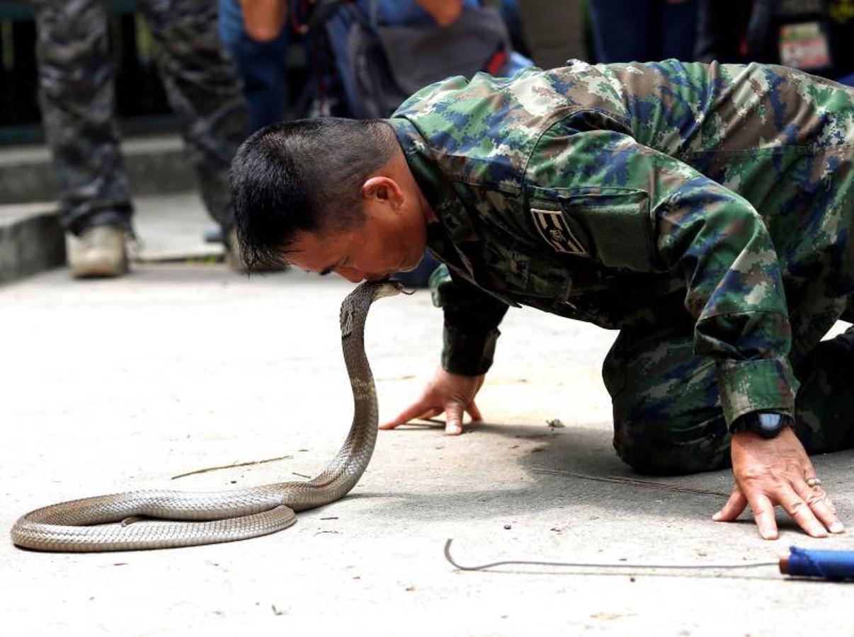 Marines estadounidenses beben la sangre de una cobra ofrecida por un instructor de la Marina tailandesa durante un entrenamiento de supervivencia en la jungla como parte de las maniobras militares conjuntas multinacionales Cobra Gold 2018 en un campamento militar tailandés en el distrito de Sattahip, provincia de Chonburi (Tailandia).