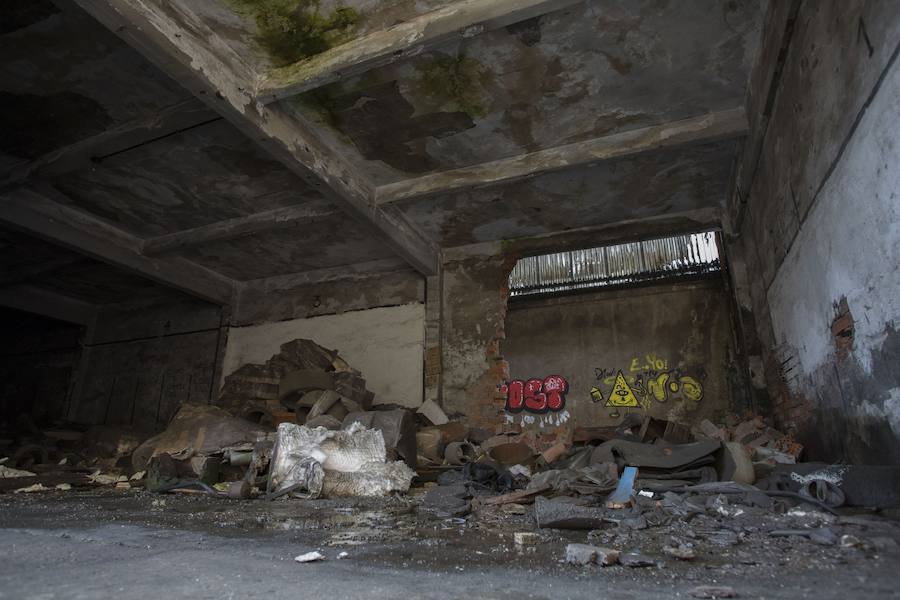 Después de años de ideas que no han terminado de cuajar, el Proyecto Irimo ha arrancado finalmente con «algo pequeño, pero tangible» en el valle del Urola.