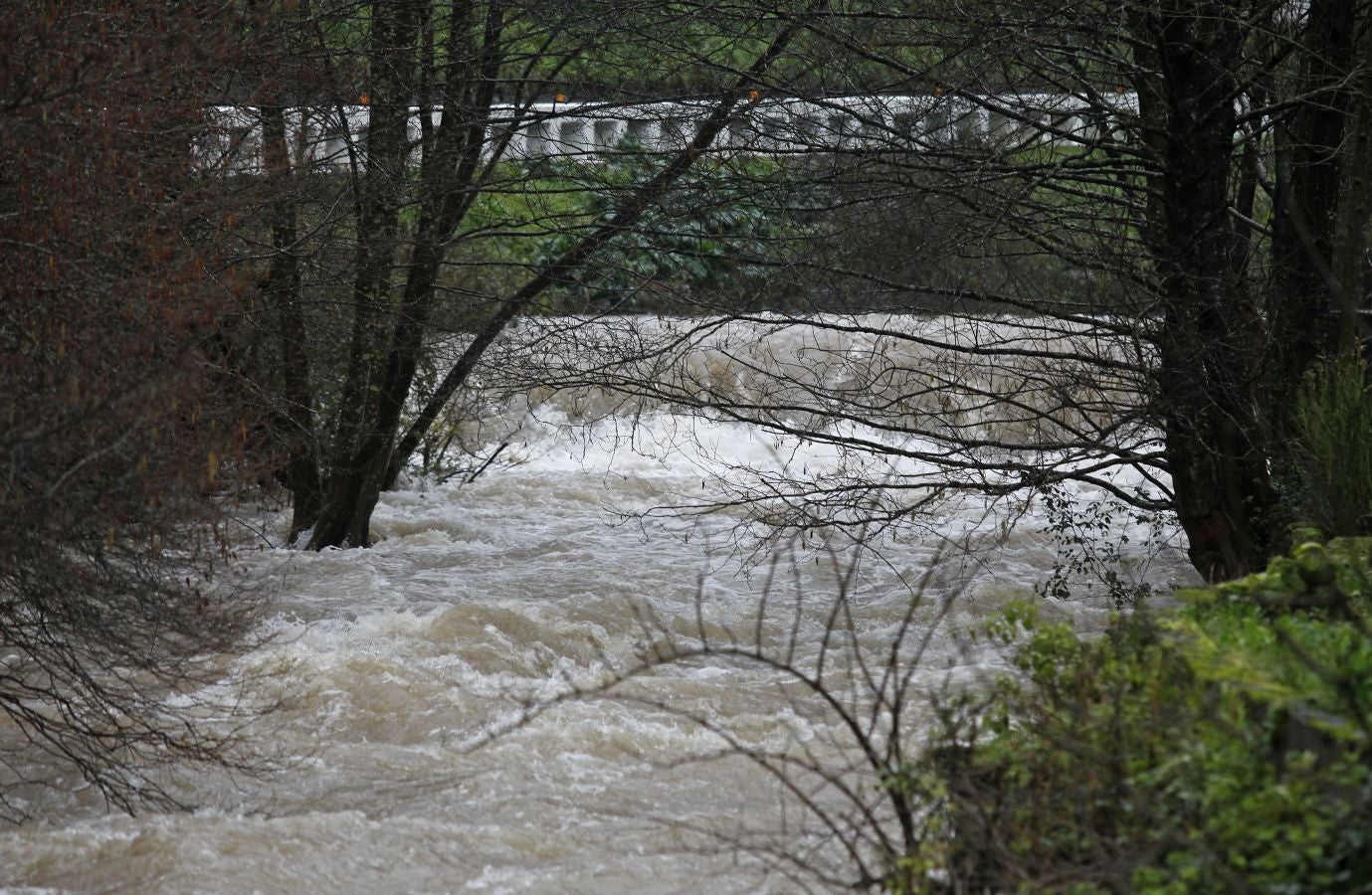 Inundaciones puntuales de los ríos guipuzcoanos tras las intensas lluvias de los últimos días. 
