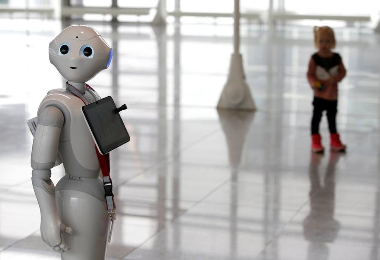 El aeropuerto de Múnich, Alemania, en colaboración con la aerolínea Lufthansa, ha instalado un humanizado con inteligencia artificial llamado Josie Pepper para dar información y responder preguntas de los pasajeros, a partir de este jueves. Este robot forma parte de fase de prueba para mostrar la aceptación por los viajeros. Pepper no solo entrega textos predefinidos, ya que gracias a la tecnología del 'Internet de las cosas' (Iot) tiene capacidad de aprendizaje y responde cada pregunta individualmente