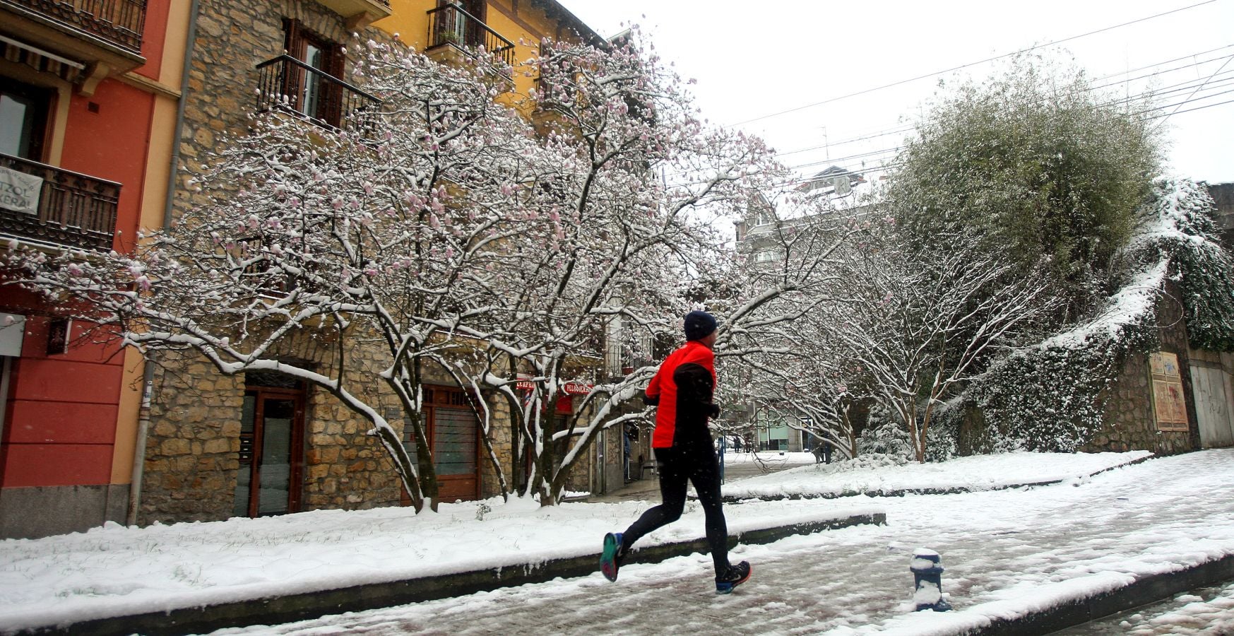 Fotos: Errenteria bajo la nieve