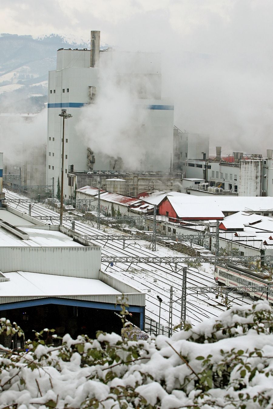 Fotos: Errenteria bajo la nieve