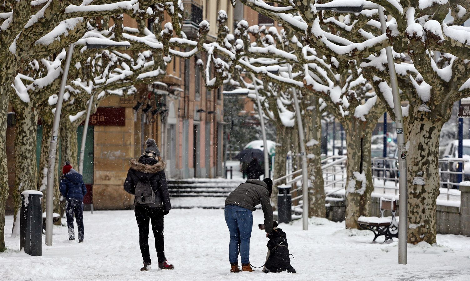 Fotos: Errenteria bajo la nieve