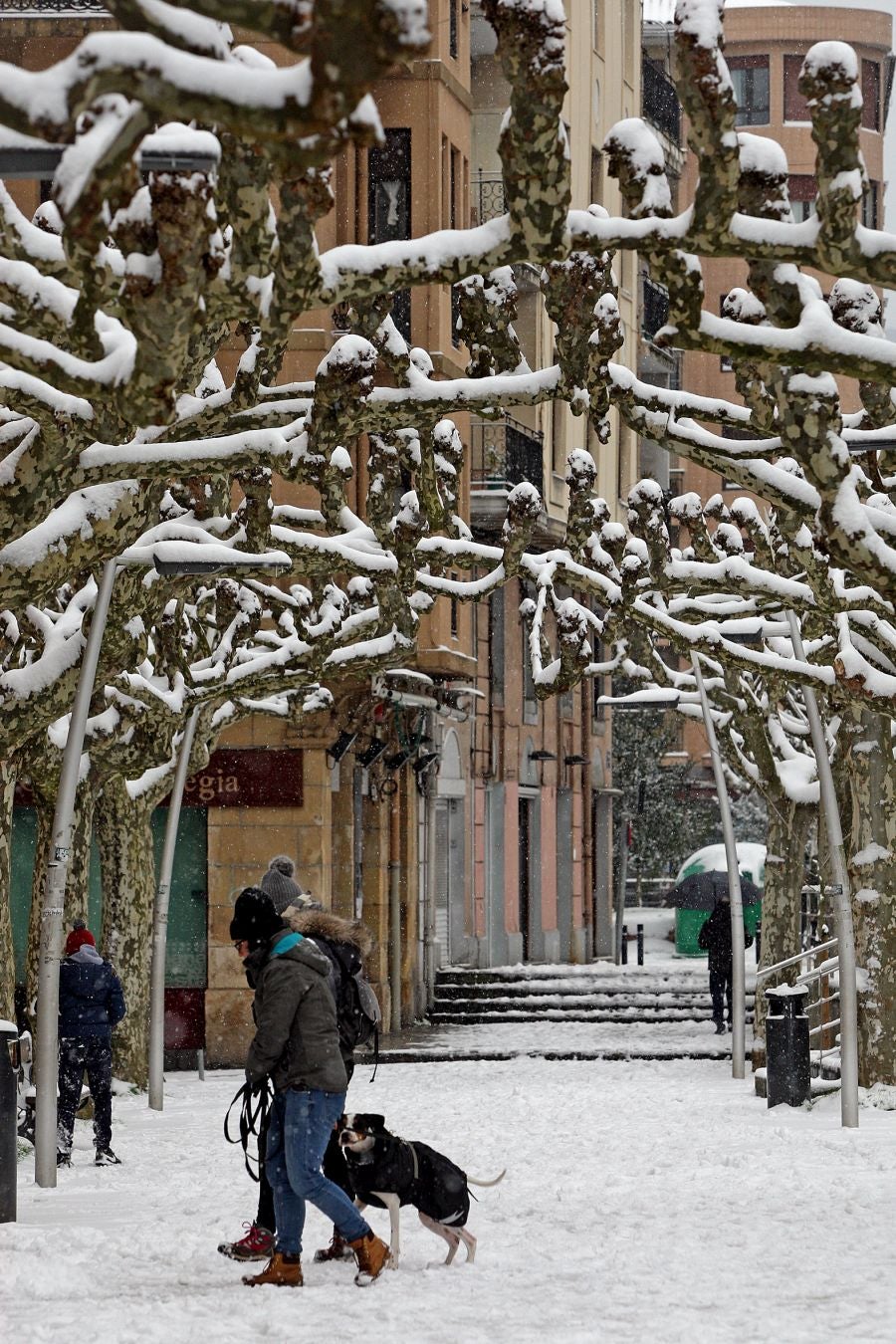 Fotos: Errenteria bajo la nieve