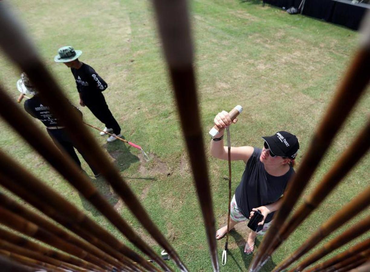 La gente alimenta a los elefantes antes de un partido en el Torneo de Polo de Elefante de la Copa del Rey en un resort ribereño en Bangkok
