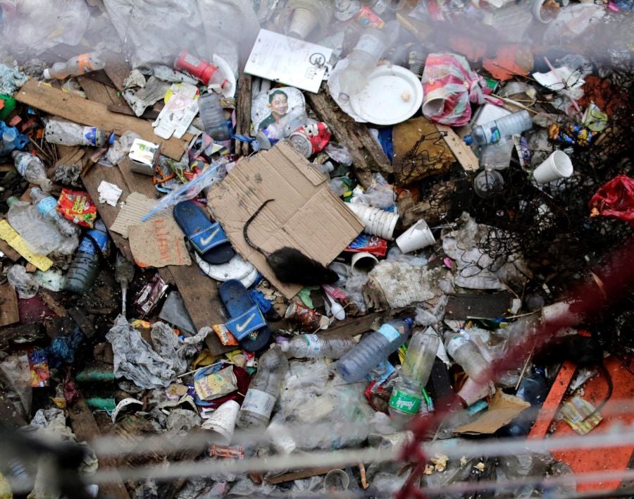 Filipinas es, según Greenpeace, el tercer país asiático que más residuos plásticos arroja a los océanos. Este 14 de marzo se celebra el Día Mundial de Acción en Defensa de los Ríos y en Contra de la Represas, fundado en Brasil en 1997.