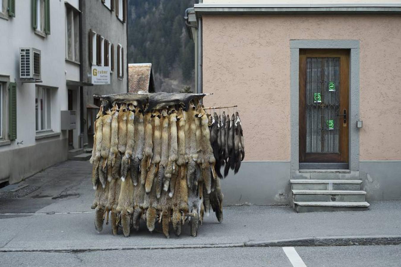 La comunidad cazadora se reúnen en su tradicional mercado de pieles en Thusis, Suiza. 