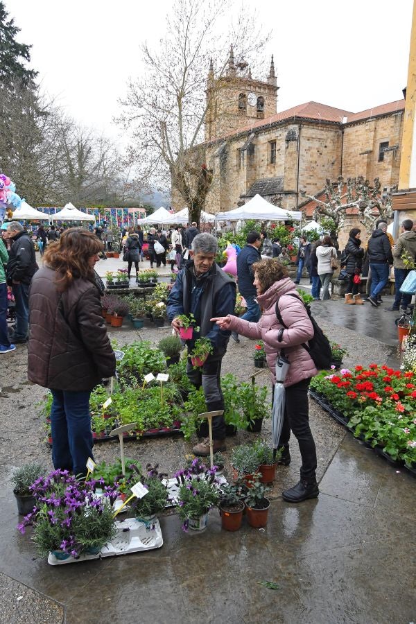 Segura ha celebrado su tradicional Feria de Flores y Plantas, y han sido muchos los vecinos de la localidad que se han acercado a la cita primaveral.