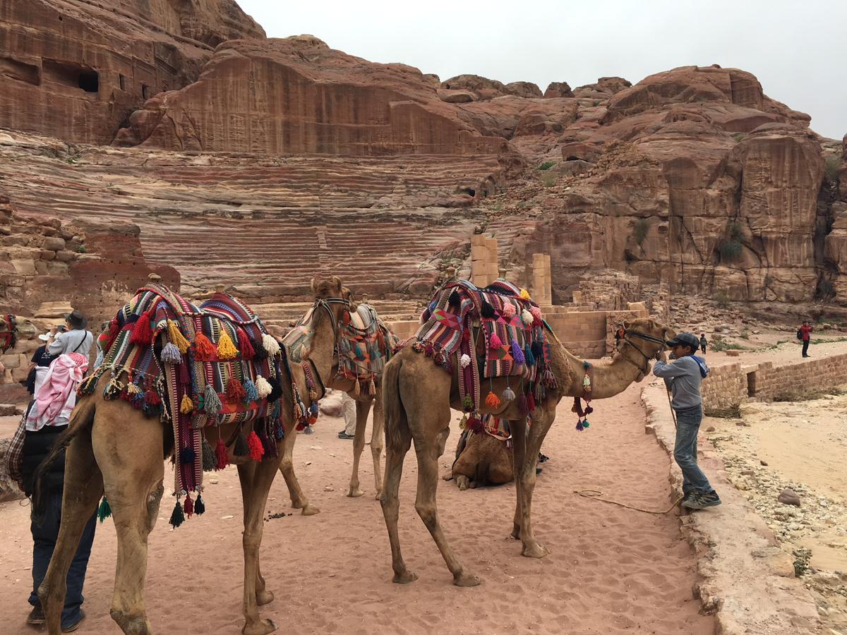 Incluida entre las Siete Maravillas del Mundo en 2007, esta urbe abandonada con gran parte de sus construcciones talladas en la roca es la mayor atracción de Jordania