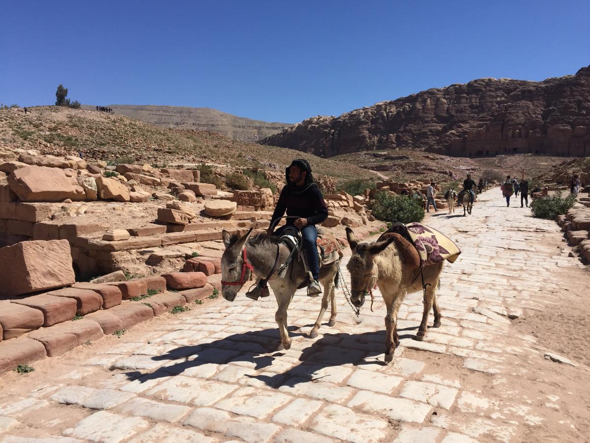 Incluida entre las Siete Maravillas del Mundo en 2007, esta urbe abandonada con gran parte de sus construcciones talladas en la roca es la mayor atracción de Jordania