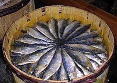 Imagen secundaria 1 - Gure ‘zirtzilu’ eta ‘ailara’ unibertsalon ohoretan