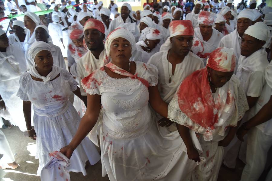 Los seguidores vudú siguen activos en Haití. Vestidos de blanco, sacrifican toros, gallinas o cabras y se untan el cuerpo con su sangre para sumergirse después en una piscina sagrada, llamada Loa, el espíritu que ayuda a gobernar el universo. 