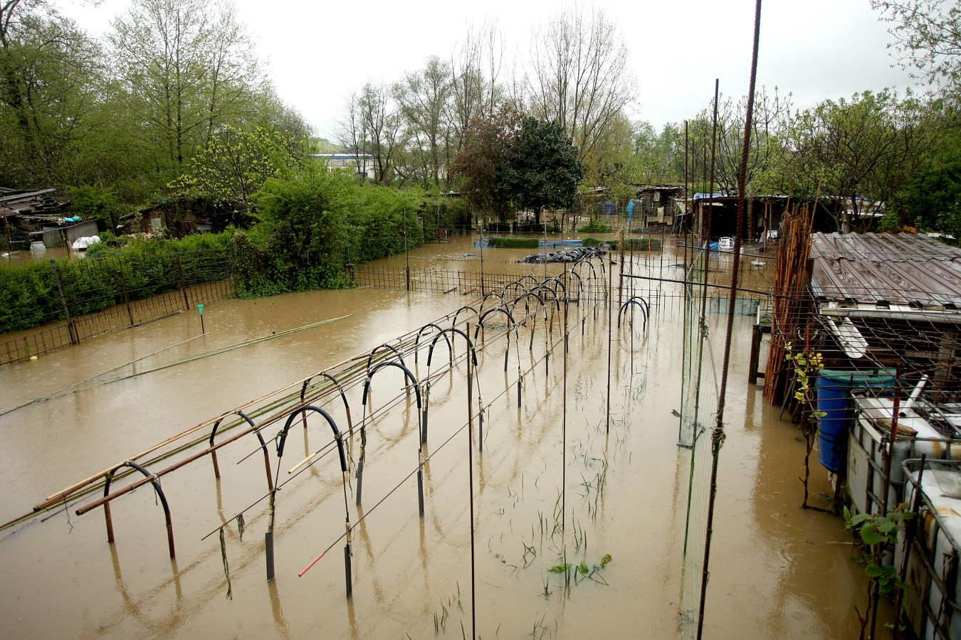 Las persistentes lluvias de las últimas horas han provocado que los ríos de Gipuzkoa estén a tope. La alerta naranja continúa activa. 