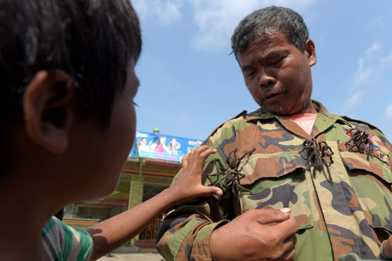 Aunque en occidente pueda parecer un plato poco apetitoso, las tarántulas son consideradas un manjar en Camboya. Tanto, que la caza furtiva de estas arañas, unida a la deforestación, amenazan con terminar con ellas.