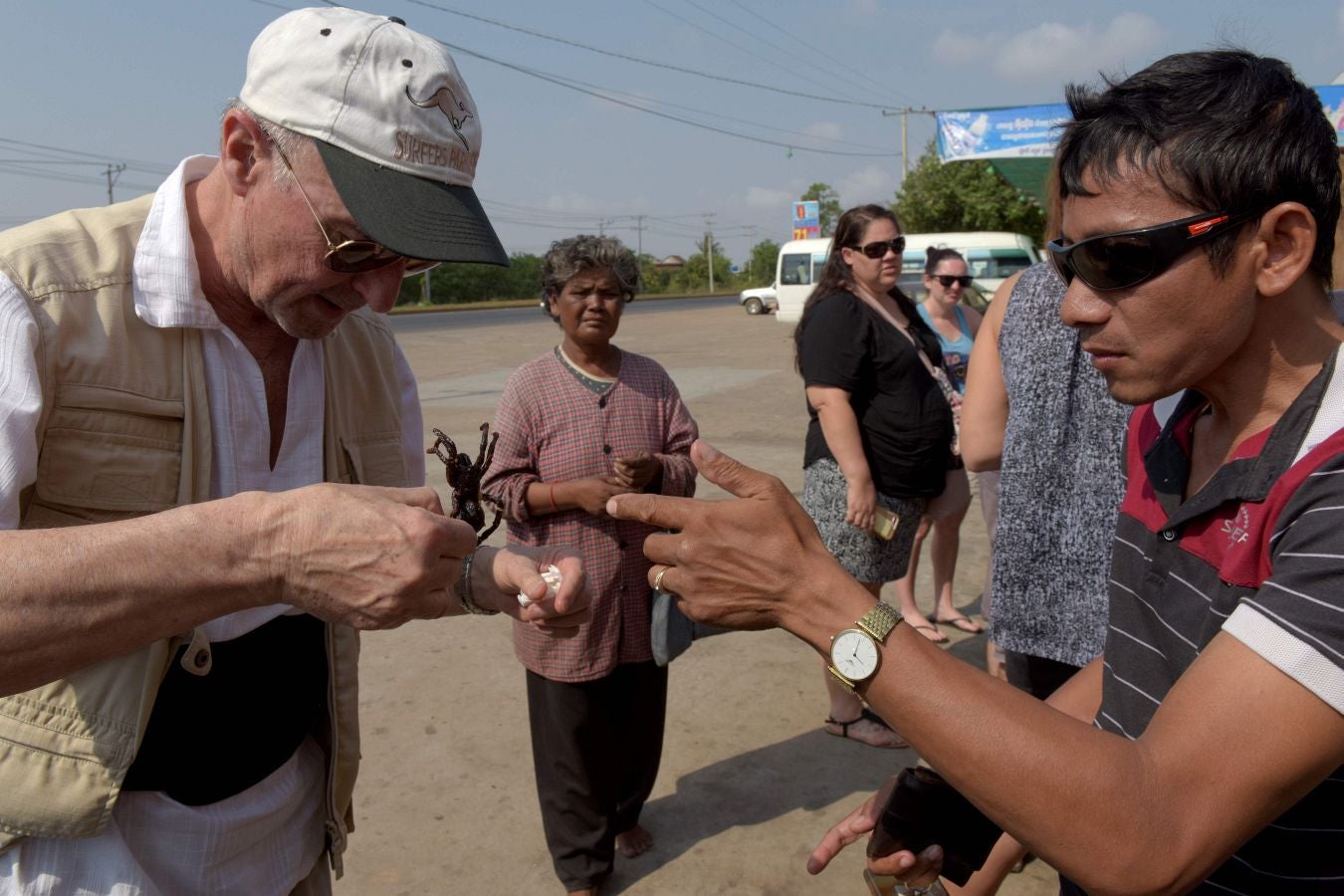 Aunque en occidente pueda parecer un plato poco apetitoso, las tarántulas son consideradas un manjar en Camboya. Tanto, que la caza furtiva de estas arañas, unida a la deforestación, amenazan con terminar con ellas.