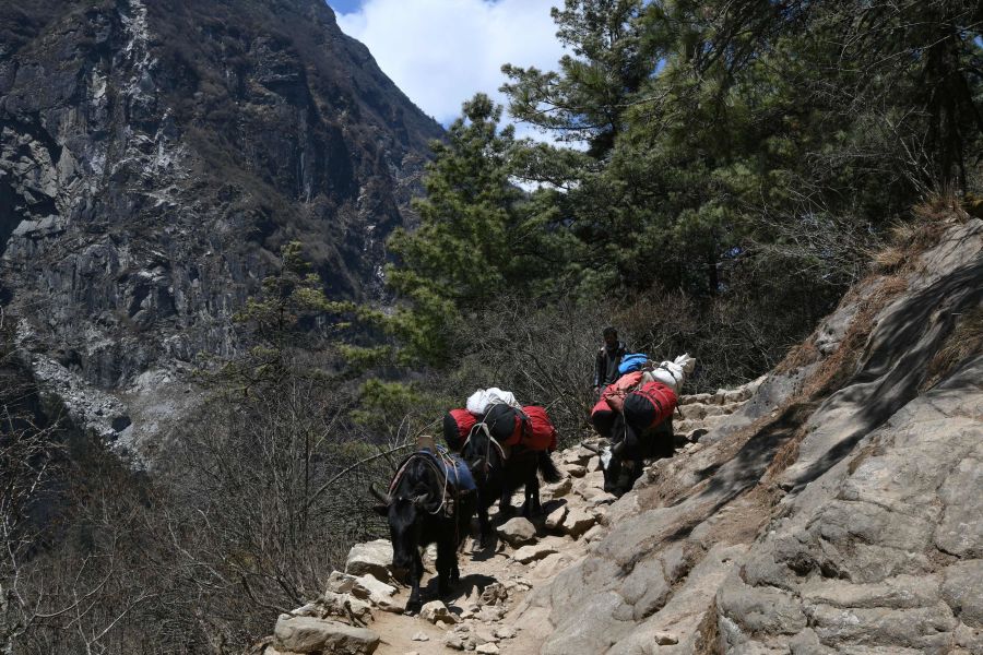 Ghat es un pueblo localizado a 140 kilómetros de Kathmandum, de camino a la cima del Everest. Los locales, así como montañeros que se dirigen a la cima, realizan una parada estratégica en el mercado del lugar.