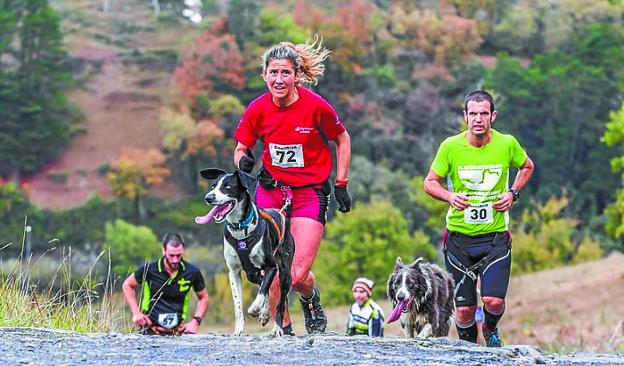 Participantes de la carrera canina.