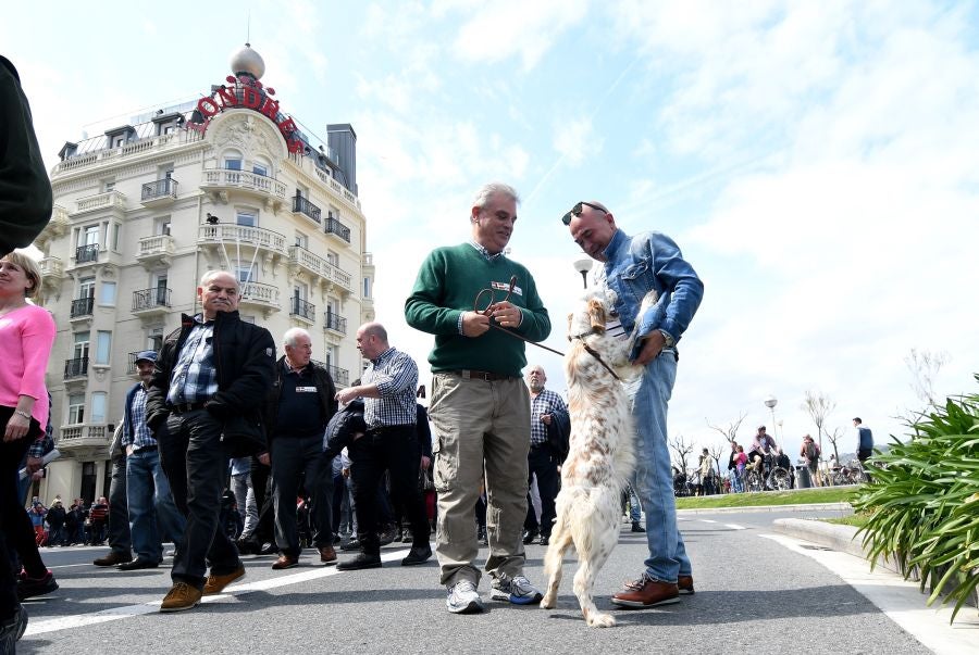 Varios miles de personas, cerca de 10.000 según la organización, han recorrido las calles de San Sebastián bajo el lema 'Euskadin Ehiza bai' ('Sí a la Caza en Euskadi), para reclamar respeto a su afición. Hasta la capital guipuzcoana se han acercado aficionados de toda Gipuzkoa, además de Álava y del norte de Navarra.