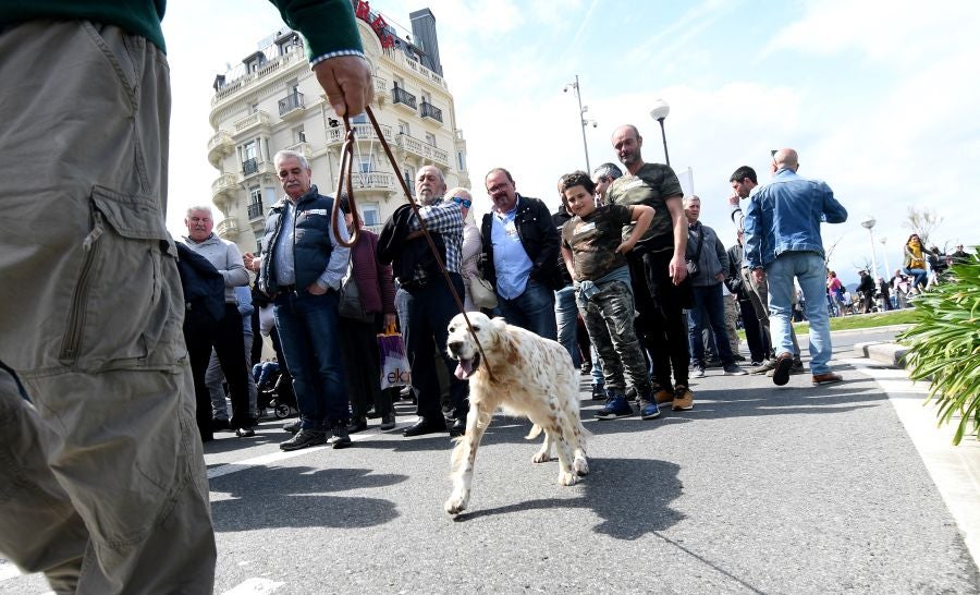 Varios miles de personas, cerca de 10.000 según la organización, han recorrido las calles de San Sebastián bajo el lema 'Euskadin Ehiza bai' ('Sí a la Caza en Euskadi), para reclamar respeto a su afición. Hasta la capital guipuzcoana se han acercado aficionados de toda Gipuzkoa, además de Álava y del norte de Navarra.