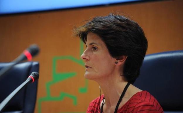 La comparecencia de Amaya Cerejido en la Comisión de Derechos Humanos del Parlamento Vasco 