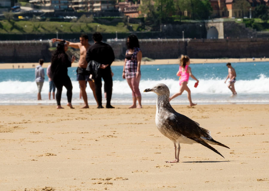 Fotos: Primer día de sol y playa en Donostia