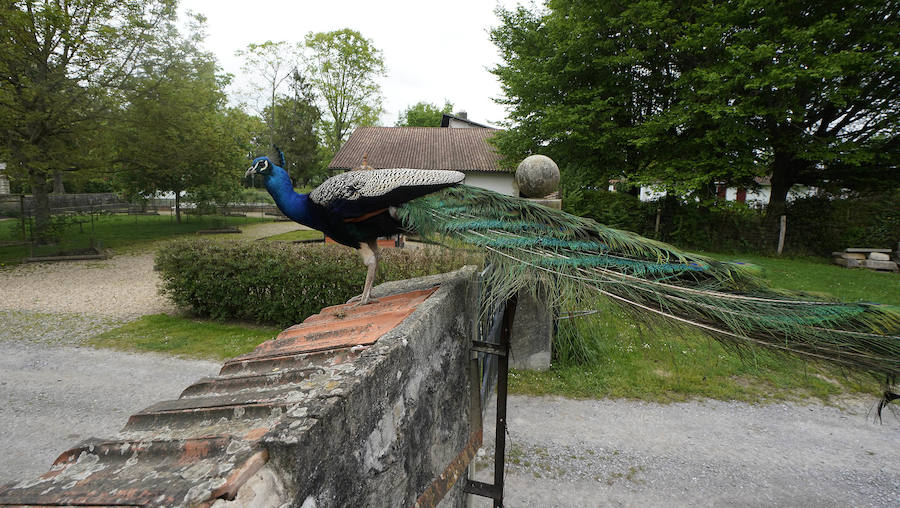 El palacete de Villa Arnaga, en Kanbo fue el resultado de un sueño hecho realidad, el del retiro vasco de Edmon Rostand, autor de la célebre 'Cyrano de Bergerac'. Se trata de un lugar emblemático: el palacete de estilo neo vasco que mandó construir por Rostand en 1903, tres años después de establecerse en esta localidad termal para tratarse la pleuresía que padecía.