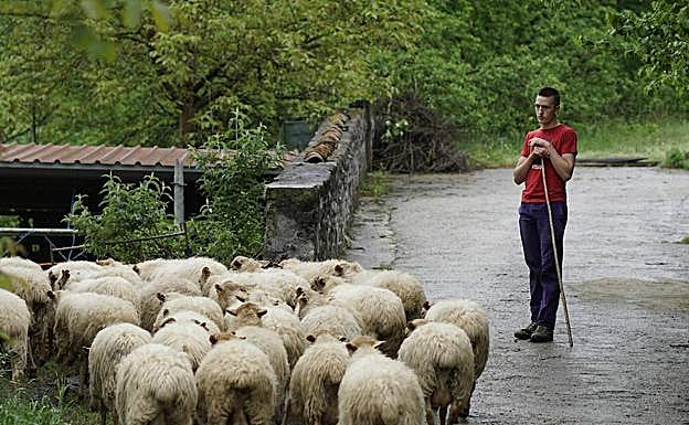 Imagen principal - Entre la facultad de ingeniería y los pastos de Aralar