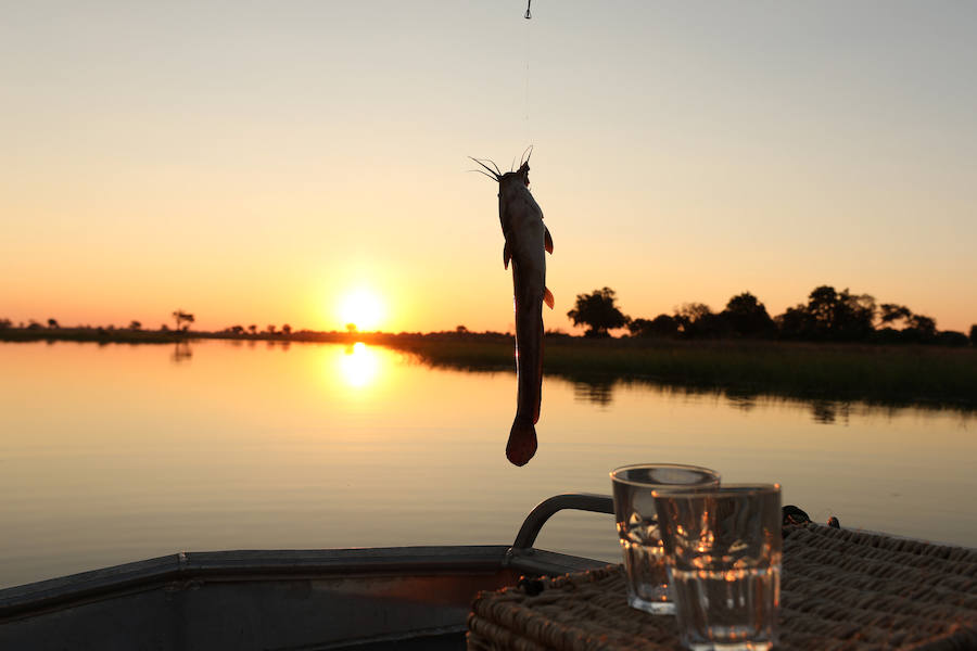 El delta del río Okavango es Patrimonio Mundial. Ejemplo único de interacción de procesos climáticos, hidrológicos y biológicos, se sitúa al noroeste de Botswana y está formado por una planicie de pantanos permanentes y praderas que se inundan de manera estacional. Se trata de un complejo de zonas húmedas prácticamente intacto. Es uno de los pocos sistemas de deltas interiores del mundo que carece de desembocadura al mar.