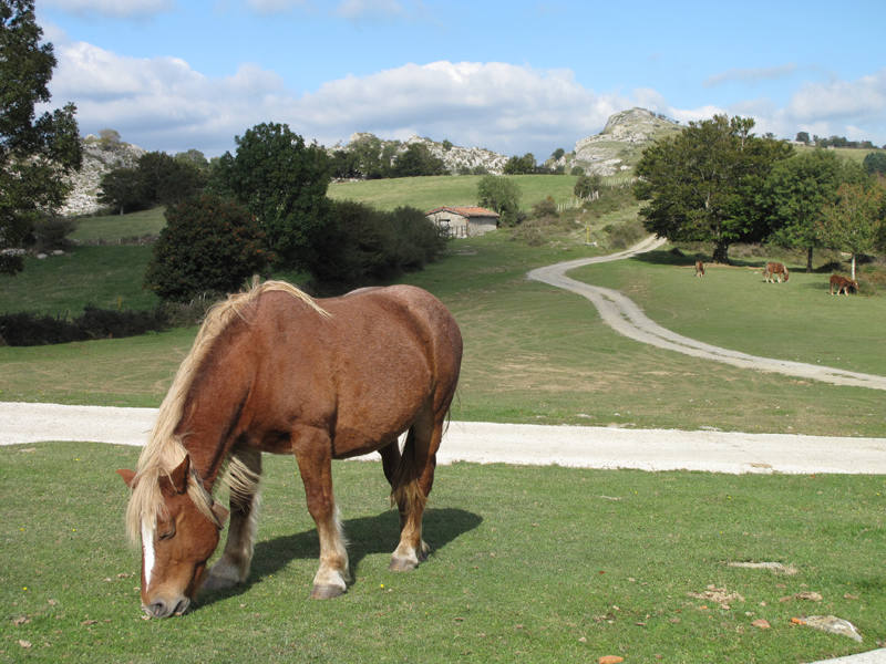 Mitología y tradición se funden en uno de los últimos valles secretos de la montaña guipuzcoana. Se trata de Araotz, un pequeño barrio rural cercano al santuario de Arantzazu donde el tiempo parece detenido