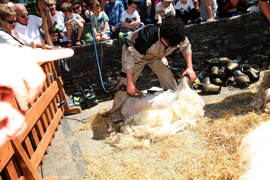 Idiazabal ha vivido este domingo una nueva edición de la Feria del Queso Vasco.