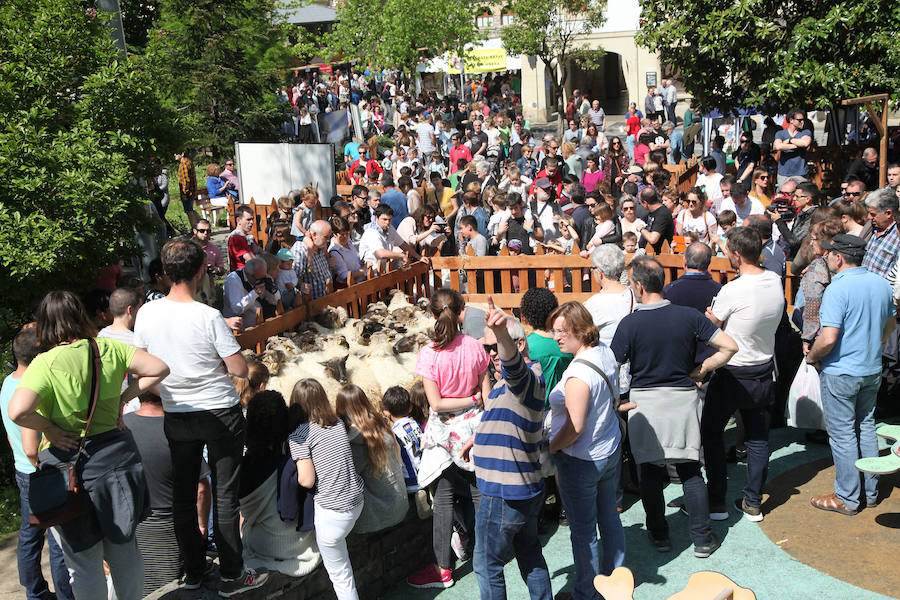 Idiazabal ha vivido este domingo una nueva edición de la Feria del Queso Vasco.