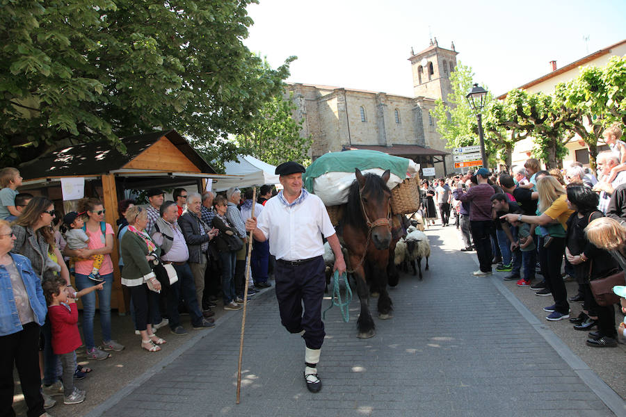 Idiazabal ha vivido este domingo una nueva edición de la Feria del Queso Vasco.