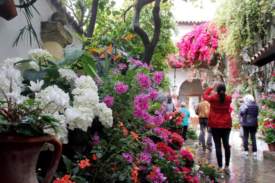 Córdboa vive estos días su tradicional fiesta de los patios, que llena de aroma y color sus calles con multicolores flores. El evento atrae a miles de turistas cada año.